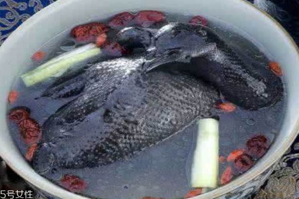 孕妇可以喝乌鸡汤吗(孕妇可以喝乌鸡汤吗早期)