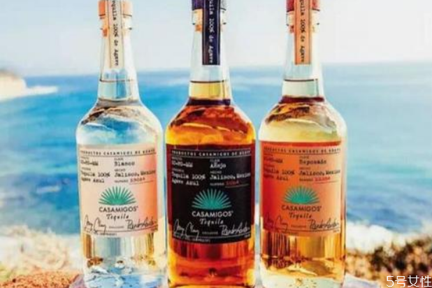 龙舌兰酒品牌排行榜,龙舌兰酒哪种牌子的好喝