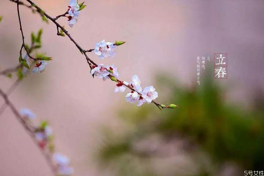立春的风俗及饮食,立春的风俗及饮食作文