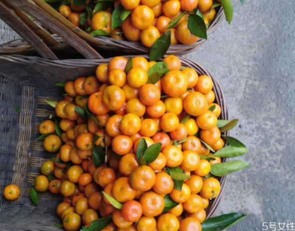 金钱橘上火还是降火,金钱橘是上火还是下火的