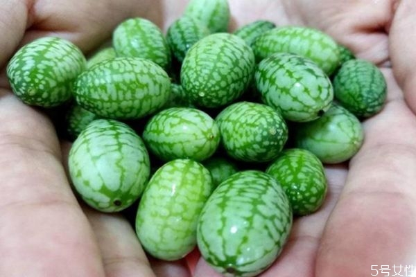 拇指西瓜的功效和作用及禁忌有哪些,拇指西瓜的功效和作用