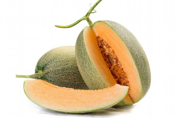 哈密瓜怎样保存不容易烂,哈密瓜放多久会坏 哈密瓜怎样保存不容易烂,哈密瓜放多久会坏