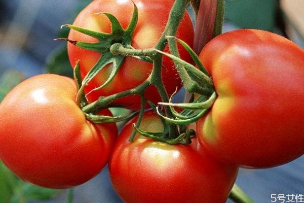 番茄去皮开水烫多久,烫番茄去皮放开水里多久合适