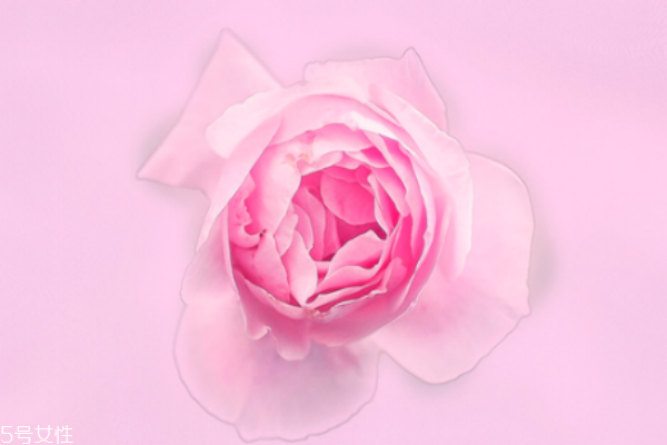 玫瑰偏粉口红适合什么人用,玫瑰红口红适合什么人