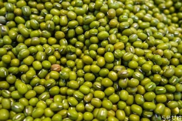 绿豆的形状和颜色是什么,绿豆是什么颜色的
