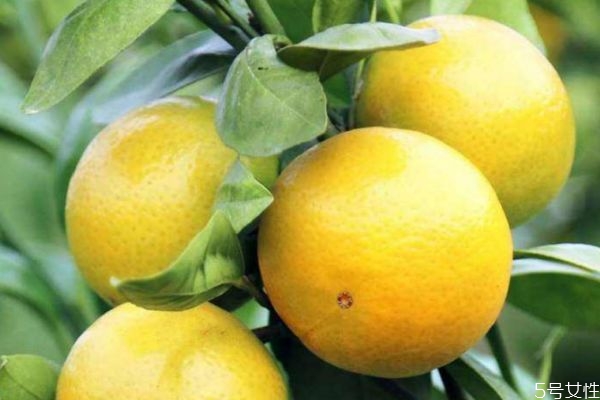 迪奥蓝金系列色号,迪奥蓝色口红