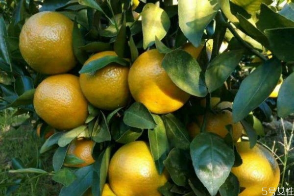 欧莱雅哑光口红,欧莱雅唇膏色号推荐