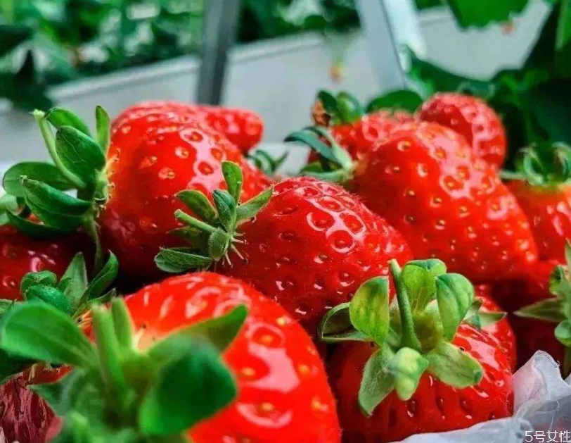 摘草莓为什么比卖的贵,为什么摘草莓比买草莓还要贵