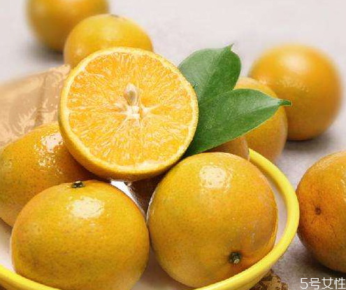 皇帝柑苗哪里买?,皇帝柑苗价格