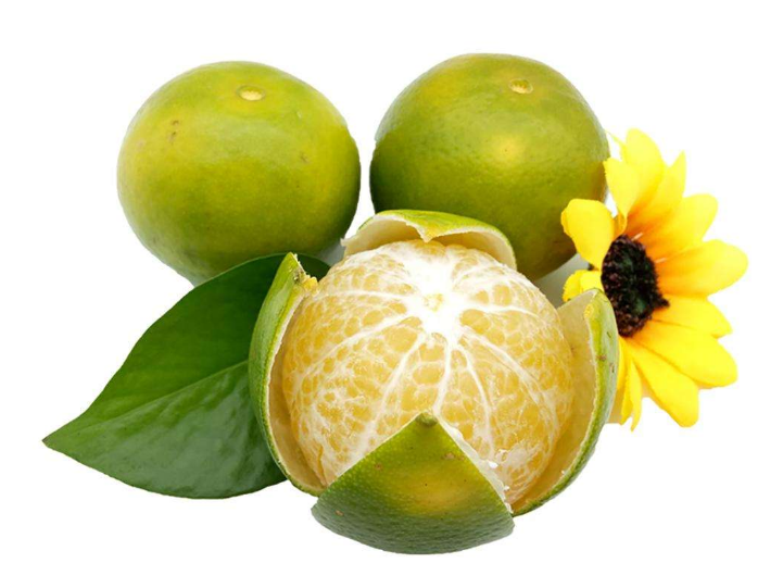 魔法医生是哪个国家的品牌,魔法医生到底好不好 魔法医生是哪个国家的品牌,魔法医生到底好不好