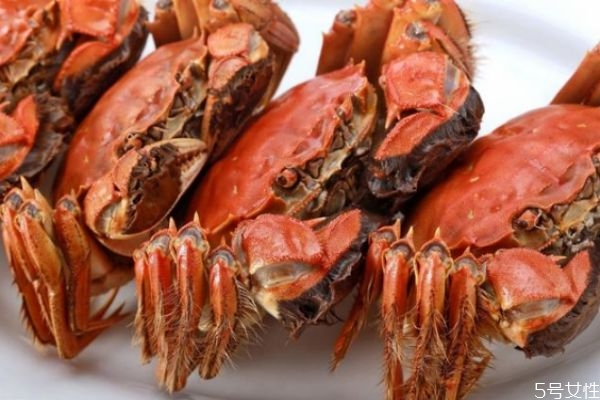 螃蟹怎么挑选公母,螃蟹怎么选公母?