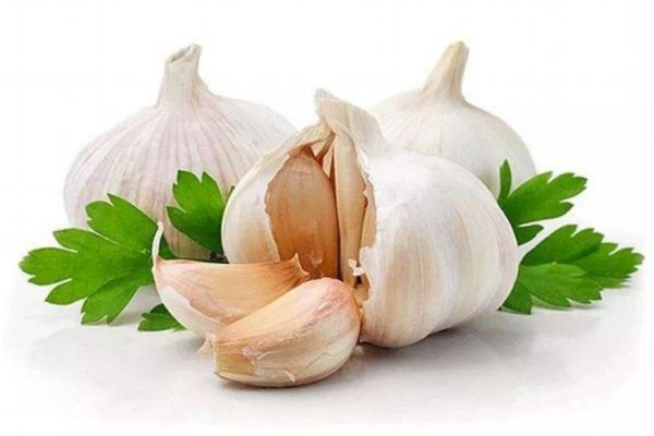 怎样种蒜的正确过程,大蒜如何种植方法