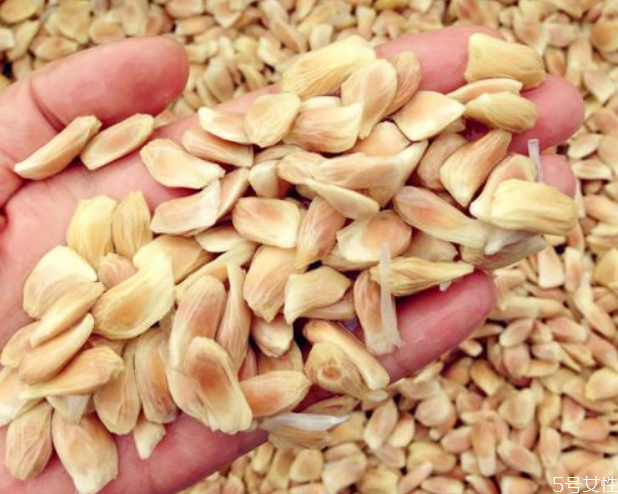 柚子大籽和小籽区别,柚子籽大好还是籽小好