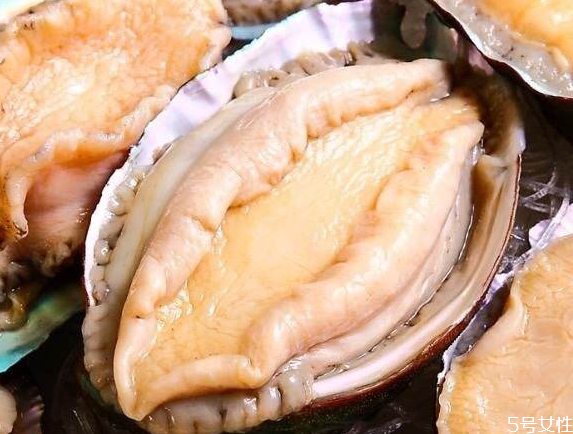 蒸熟的鲍鱼可以隔夜吃吗,煮熟的鲍鱼可以隔夜吃吗