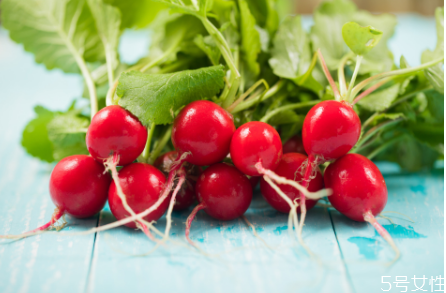 孕妇为什么不能吃樱桃萝卜,孕妇能吃樱桃萝卜吗 孕妇为什么不能吃樱桃萝卜,孕妇能吃樱桃萝卜吗
