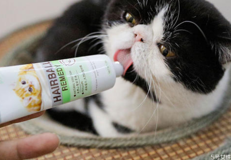 什么营养膏给猫咪吃比较好,猫咪吃什么牌子的营养膏比较好