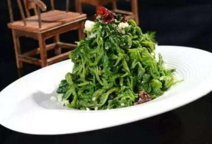 桑芽菜的功效和作用,桑芽菜吃有什么副作用吗