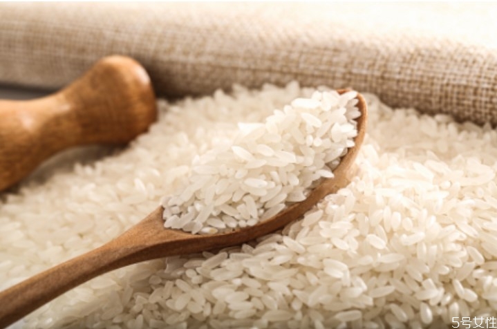 米虫是从哪里来的,米虫是什么