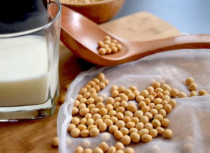 豆浆渣能做花肥吗,豆浆渣可以给花做肥料吗 豆浆渣能做花肥吗,豆浆渣可以给花做肥料吗