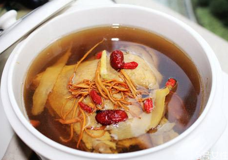 世界上什么动物的肉不能吃,什么动物的肉不能吃