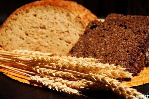 全麦面包还是黑麦面包好,高纤维面包和全麦面包 全麦面包还是黑麦面包好,高纤维面包和全麦面包