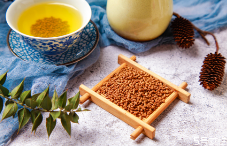 苦荞茶哺乳期可以喝吗,苦荞麦茶哺乳期可以喝吗