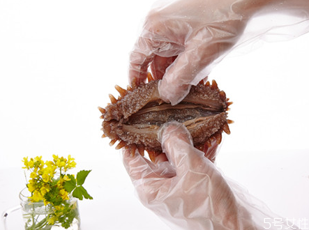 海参头多好还是头少好,海参多少头一斤的好 海参头多好还是头少好,海参多少头一斤的好