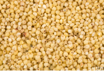 吃高粱米的禁忌,高粱米的食用方法