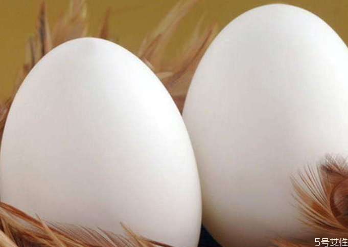 鹅蛋选大的好还是小的好,鹅蛋大还是鸡蛋大 鹅蛋选大的好还是小的好,鹅蛋大还是鸡蛋大