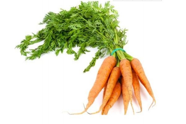 安耐晒软管和硬管的区别,安耐晒白管好用吗 安耐晒软管和硬管的区别,安耐晒白管好用吗