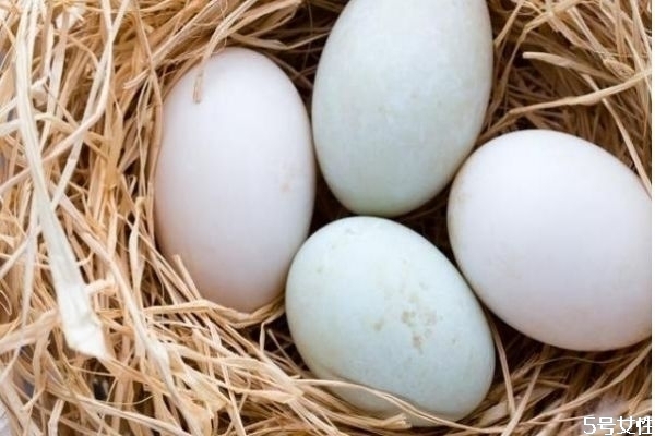 鸭蛋怎么吃比较好?,鸭蛋怎么吃比较好吃 鸭蛋怎么吃比较好?,鸭蛋怎么吃比较好吃