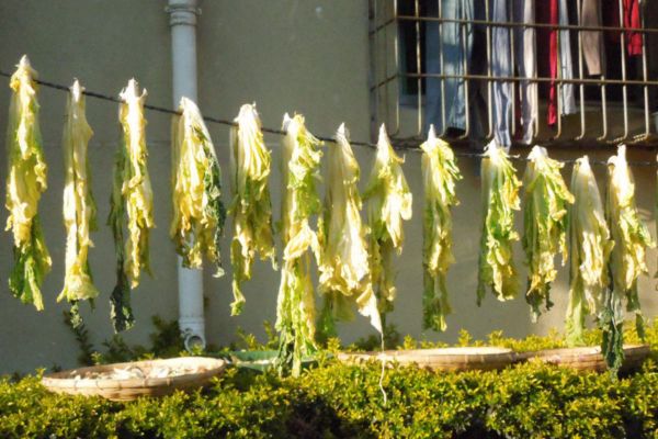 腌的白菜怎么做好吃,白菜怎么做腌菜好吃