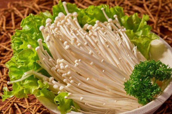 不熟的金针菇有毒吗,金针菇不熟有没有毒 不熟的金针菇有毒吗,金针菇不熟有没有毒