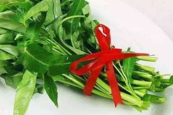 空心菜有什么营养价值呢(空心菜的营养价值是什么) 空心菜有什么营养价值呢(空心菜的营养价值是什么)