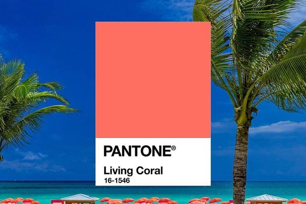 珊瑚橘色是什么颜色,珊瑚橘色是什么颜色组成