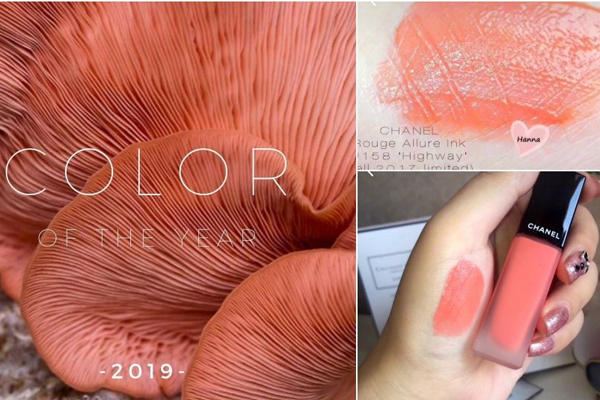 珊瑚橘色口红推荐,珊瑚橘是什么色系