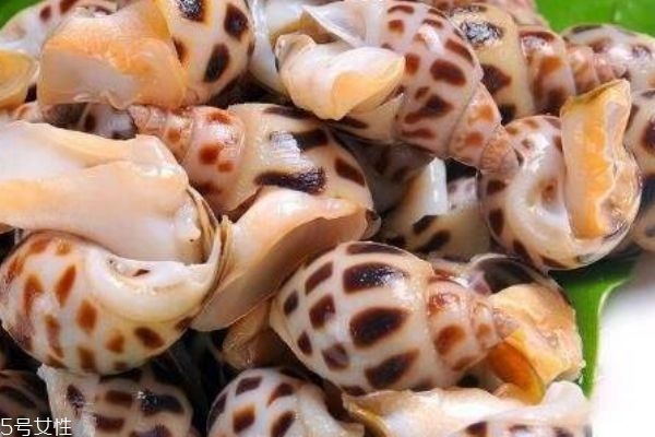 吃海螺有什么好处呢(常吃海螺有什么好处)