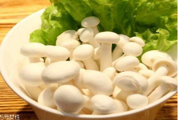 丝芙兰三色眼影,visee眼影保质期