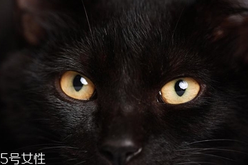 美瞳基弧小了会怎样,美瞳基弧不合适会有什么感觉