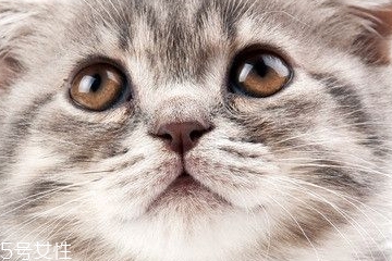 美瞳什么材质的好,美瞳什么材质的好 各有各的优点