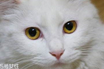 美瞳买多久的好,美瞳用多久