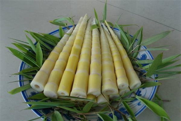 雅诗兰黛沁水适合混油皮吗,雅诗兰黛哪个水适合混油