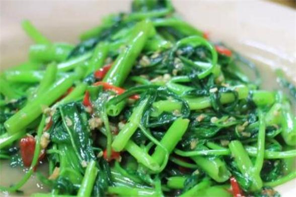 空心菜怎么挑选(空心菜怎么挑选)