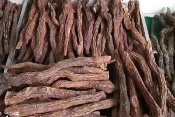 美甲甲片粘合剂怎么用,甲片粘合剂怎么用是胶水吗