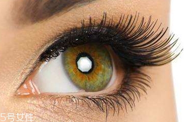 荷叶山楂减肥茶的副作用(荷叶山楂减肥茶的副作用)