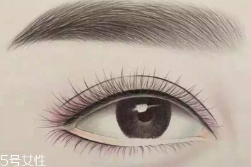 男生体脂率20算高吗(男生体脂率20什么水平)