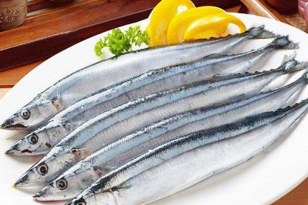 吃秋刀鱼有什么好处呢(吃秋刀鱼有什么好处和坏处) 吃秋刀鱼有什么好处呢(吃秋刀鱼有什么好处和坏处)