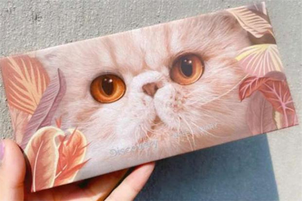 女神妆怎么画,好看的妆怎么画