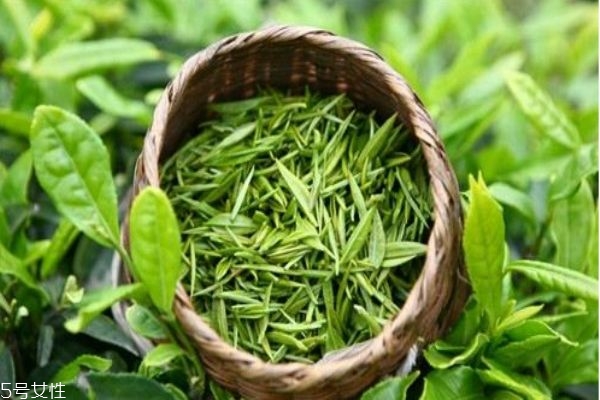经常喝龙井有什么好处呢(喝龙井有什么好处和坏处)