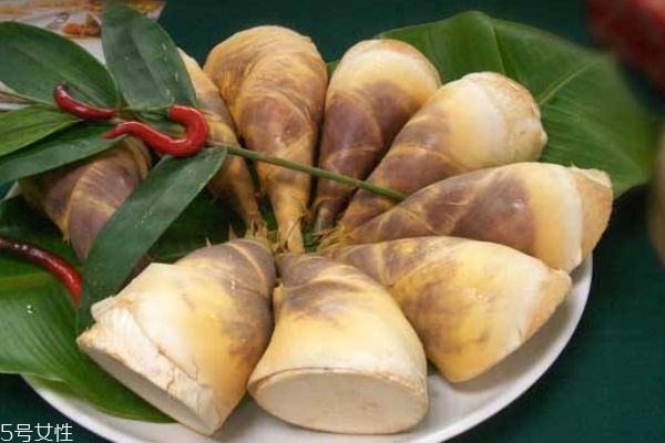 食用竹笋的禁忌有什么(竹笋的禁忌有哪些)